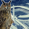 Bubi ir Helsinkio olimpinis stadionas