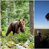 Rudasis lokys / Gamtininkas Andrejus Gaidamavičius