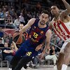 Toma&scaron;as Satoransky