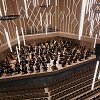 Lietuvos valstybinis simfoninis orkestras 