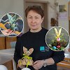 Jurgita Vasiliauskienė