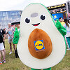 LIDL 8 gimtadienis ir nacionalinė grilio diena