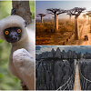Madagaskaras