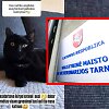 Influencerės įra&scaron;as, VMVT