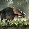 Pachyrhinosaurus