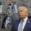 Donaldas Trumpas
