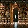 Bibliotekos lentynos (asociatyvi nuotr.)