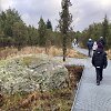 &Scaron;auklių riedulynas - kadagynas