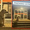 &Scaron;uo prie Roki&scaron;kio rajono ligoninės