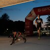2 km distancijoje varžėsi ne tik bėgikai, bet ir &scaron;unys. &Scaron;ią trasą greičiausiai įveikė Rytis Stumbra su belgų aviganiu &ndash; Sparta.