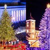 Vilniaus ir Kauno kalėdinės eglės