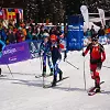 Kalnų alpinizmas