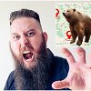 Ką daryti sutikus me&scaron;ką?