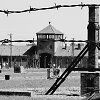 Au&scaron;vicas-Birkenau