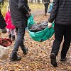 Statybinės atliekos gamtoje
