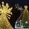 &Scaron;venčionių miesto eglė