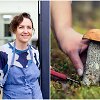 Asta Petru&scaron;ienė / Grybavimas