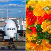 &bdquo;British Airways&ldquo; įgula atsidūrė ligoninėje