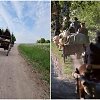 Į kelionę entuziastai leisis žemaitukų traukiamais mediniais vežimais