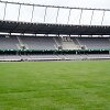 Naujoji Dariaus ir Girėno stadiono veja