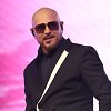 Pitbull