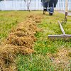Kaip pasirūpinti veja po žiemos?