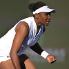Venus Williams