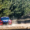 WRC organizatorių &bdquo;facebook&ldquo; puslapyje patalpinta nuotr.