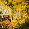 WRC Organizatorių nuotr.
