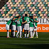 FK &bdquo;Žalgiris&ldquo; &ndash; &bdquo;Dainava&ldquo;