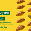 Karjera &bdquo;IKI&ldquo;