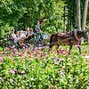 Pakruojo dvare jau atidarytas utopinio grožio Vasaros gėlių festivalis: Mindaugines kviečia &scaron;vęsti tarp milijonų žiedų