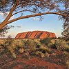 Australija: ar tikrai ten viskas kitaip?