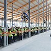 Lietuvoje atidarytas moderniausia karvių fermų kompleksas.