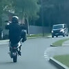 Mopedo vairuotojas Palemone