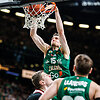 Laurynas Birutis