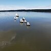 Medinio burinio laivyno regata &bdquo;Burpilis&ldquo;