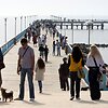 Palangoje už automobilių statymą reikės mokėti tik vasarą.