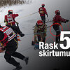 Žaidimas &bdquo;Rask skirtumus&ldquo;