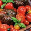Pomidorai