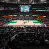 Badalonos olimpinė arena