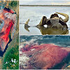 Sodos ežeras (angl. Lake Natron), Tanzanija