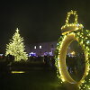 Raseinių Kalėdų eglės įžiebimas