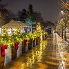 Kalėdoms pasipuo&scaron;usi Palanga