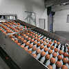 &bdquo;Vičiūnų grupė&ldquo; pastatė du naujus fabrikus