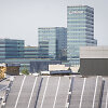 Vilniaus stogai