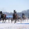 Lenktynių akimirka
