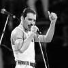 Freddie Mercury 