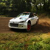 &bdquo;Perlas Go Rally Dzūkija&ldquo;