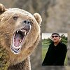 15min koliažas &ndash; Lokys ir Timothy Treadwell'as